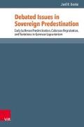 Debated Issues in Sovereign Predestination