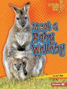 MEET A BABY WALLABY