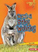 MEET A BABY WALLABY