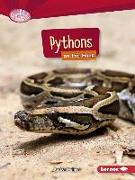 Pythons on the Hunt