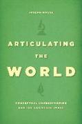 Articulating the World