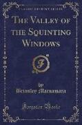 The Valley of the Squinting Windows (Classic Reprint)