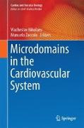 Microdomains in the Cardiovascular System