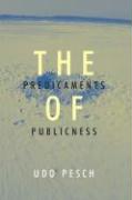 The Predicaments of Publicness: An Inquiry Into the Conceptual Ambiguity of Public Administration