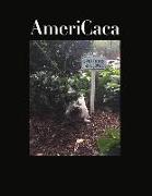 Americaca: Volume 1