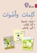 Words and Sounds Big Book: Level 2 (Kg)