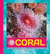 Coral: A Close-Up Photographic Look Inside Your World