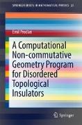 A Computational Non-commutative Geometry Program for Disordered Topological Insulators