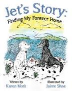 Jet's Story