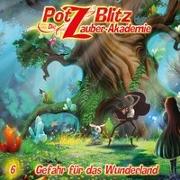 Potz Blitz - Die Zauber-Akademie 06. Gefahr für das Wunderland