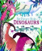 Big Picture Book Dinosaurs