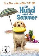 Ein Hund rettet den Sommer