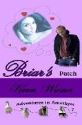 Briar's Patch, Book 7, An Adventures in Amethyst Series Novel