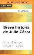 Breve Historia de Julio César