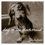 DAY OF THE DACHSHUND