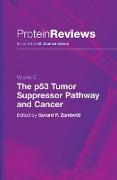 The p53 Tumor Suppressor Pathway and Cancer