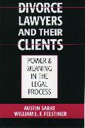 Divorce Lawyers and Their Clients: Power and Meaning in the Legal Process