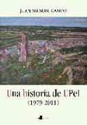 Una historia de UPeI, 1979-2011