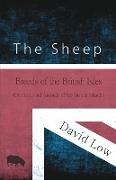 The Sheep - Breeds of the British Isles (Domesticated Animals of the British Islands)