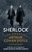 SHERLOCK THE ESSENTIAL ART 20D