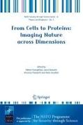 From Cells to Proteins: Imaging Nature across Dimensions