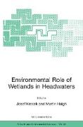 Environmental Role of Wetlands in Headwaters