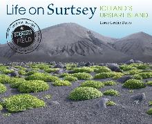 Life on Surtsey: Iceland's Upstart Island