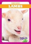 LAMBS