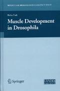 Muscle Development in Drosophilia