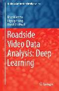 Roadside Video Data Analysis