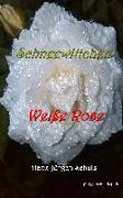 Schneewittchen - Weiße Rose