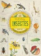 Col.lecció de curiositats. Insectes