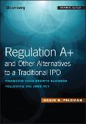 Regulation A+ and Other Alternatives to a Traditional IPO
