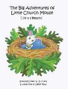 BIG ADV OF LITTLE CHURCH MOUSE
