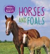 HORSES & FOALS