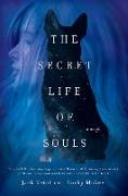 The Secret Life of Souls
