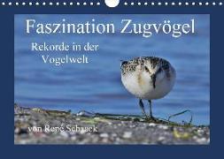 Faszination Zugvögel - Rekorde in der Vogelwelt (Wandkalender 2018 DIN A4 quer)