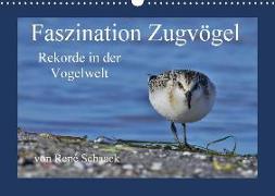 Faszination Zugvögel - Rekorde in der Vogelwelt (Wandkalender 2018 DIN A3 quer)