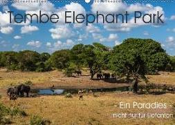 Tembe Elephant Park. Ein Paradies - nicht nur für Elefanten (Wandkalender 2018 DIN A2 quer)