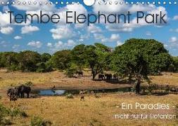 Tembe Elephant Park. Ein Paradies - nicht nur für Elefanten (Wandkalender 2018 DIN A4 quer)