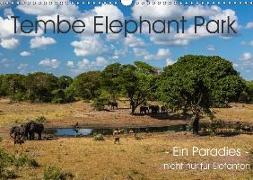 Tembe Elephant Park. Ein Paradies - nicht nur für Elefanten (Wandkalender 2018 DIN A3 quer)
