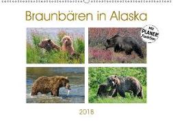 Braunbären in Alaska (Wandkalender 2018 DIN A2 quer)
