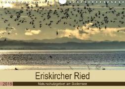 Eriskircher Ried - Naturschutzgebiet am Bodensee (Wandkalender 2018 DIN A4 quer)