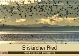 Eriskircher Ried - Naturschutzgebiet am Bodensee (Wandkalender 2018 DIN A3 quer)
