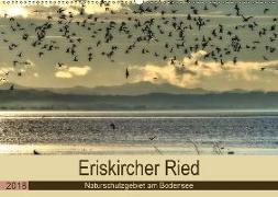 Eriskircher Ried - Naturschutzgebiet am Bodensee (Wandkalender 2018 DIN A2 quer)