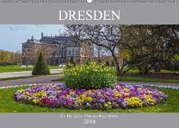 Dresden, ein Jahr an der Elbe (Wandkalender 2018 DIN A2 quer)