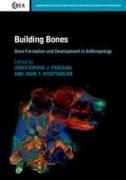 Building Bones: Bone Formation and Development in Anthropology