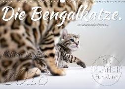 Die Bengalkatze. Edition Jungtiere (Wandkalender 2018 DIN A3 quer)