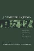 Juvenile Delinquency: Prevention, Assessment, and Intervention