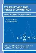 Volatility and Time Series Econometrics